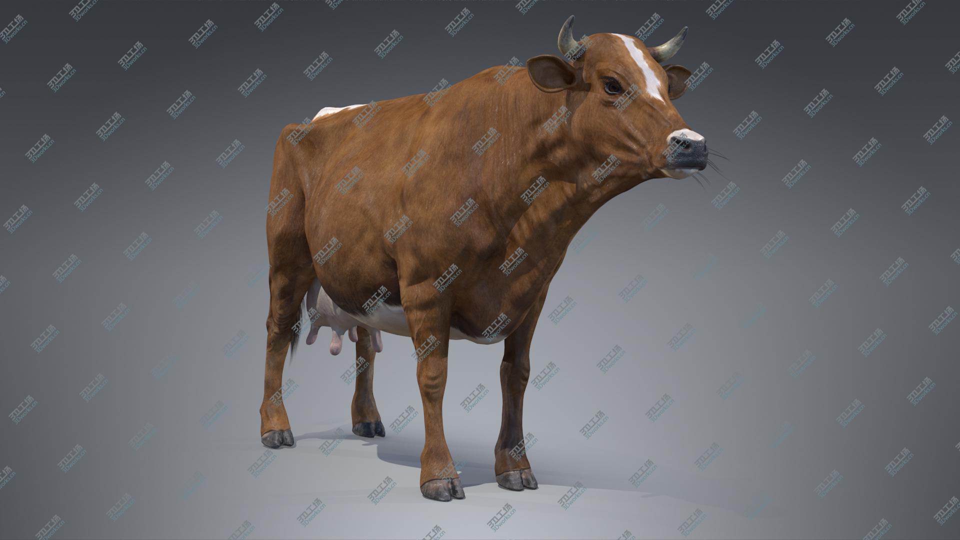 images/goods_img/202104093/3D Red Milch Cow PBR/1.jpg